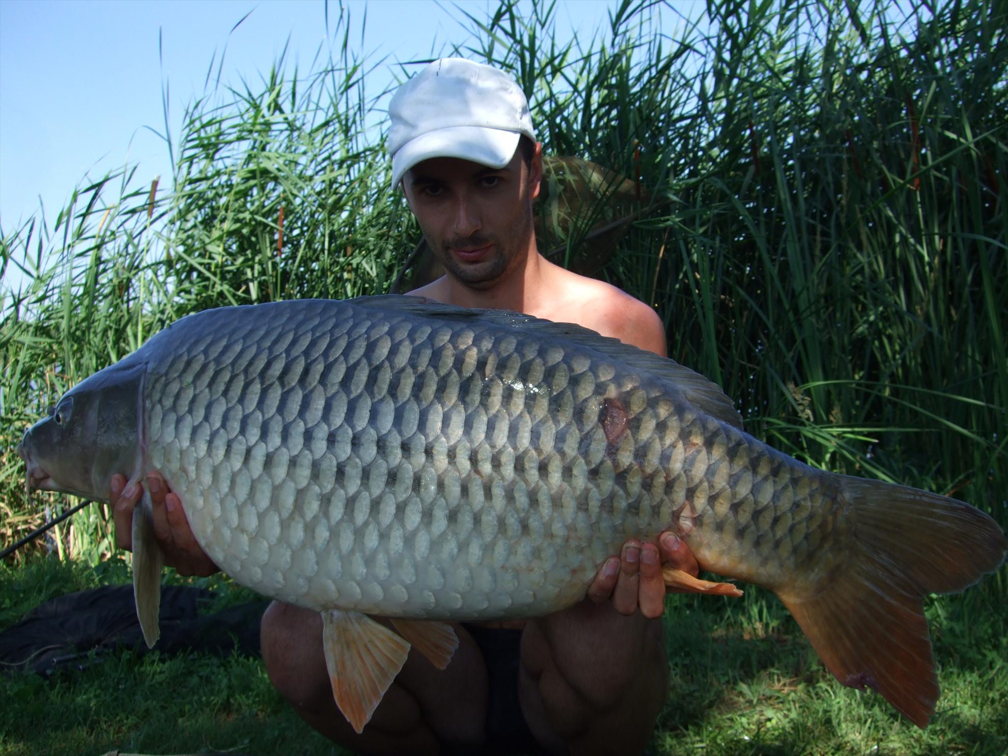 Nagykallo 2012 - 224.JPG